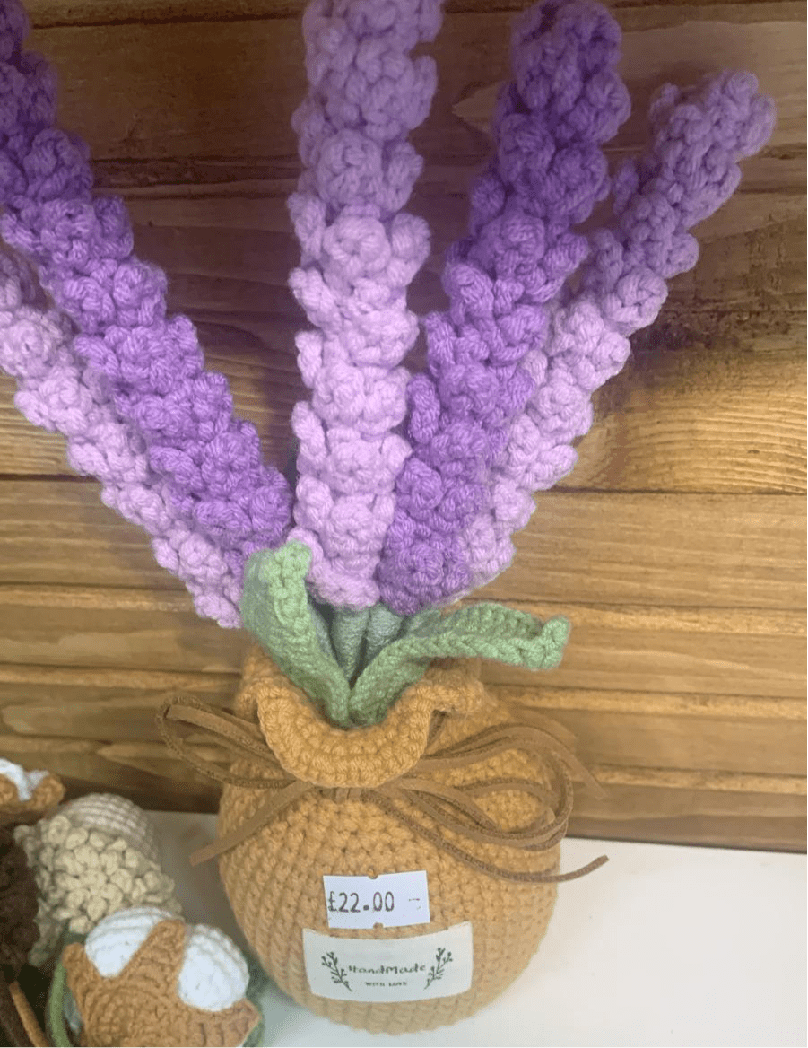 XXL Pot Plants : Larger the size, Bigger the smile