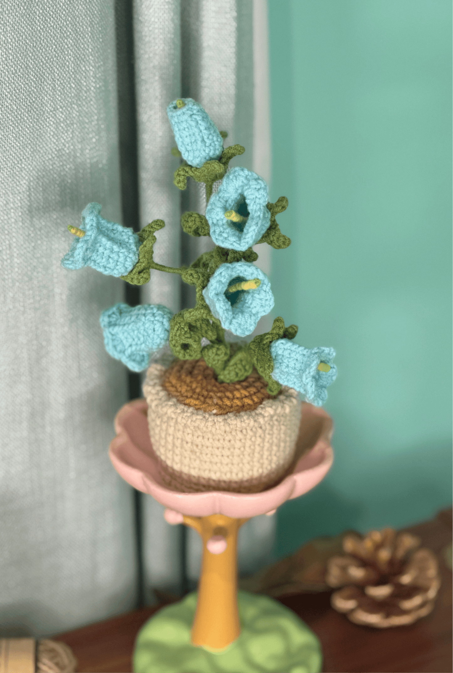 XXL Pot Plants : Larger the size, Bigger the smile