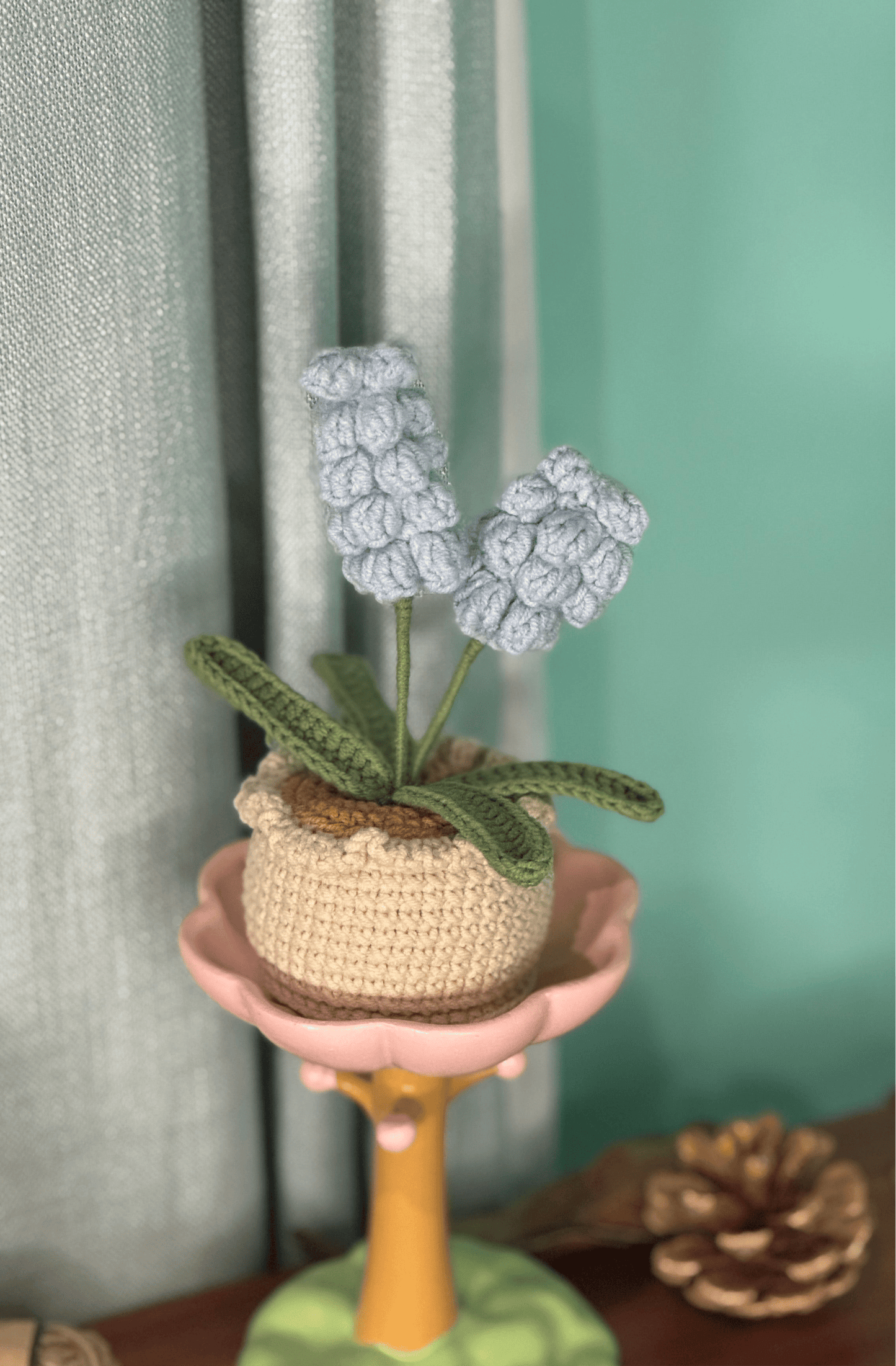 XXL Pot Plants : Larger the size, Bigger the smile