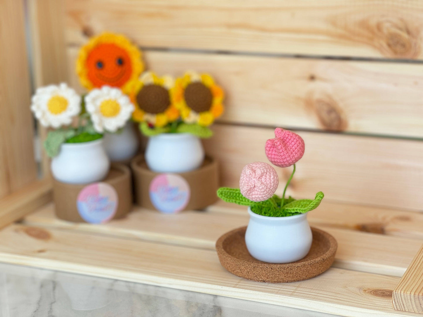 Blooming Joy: Whimsical Garden Pastel Pot Collection