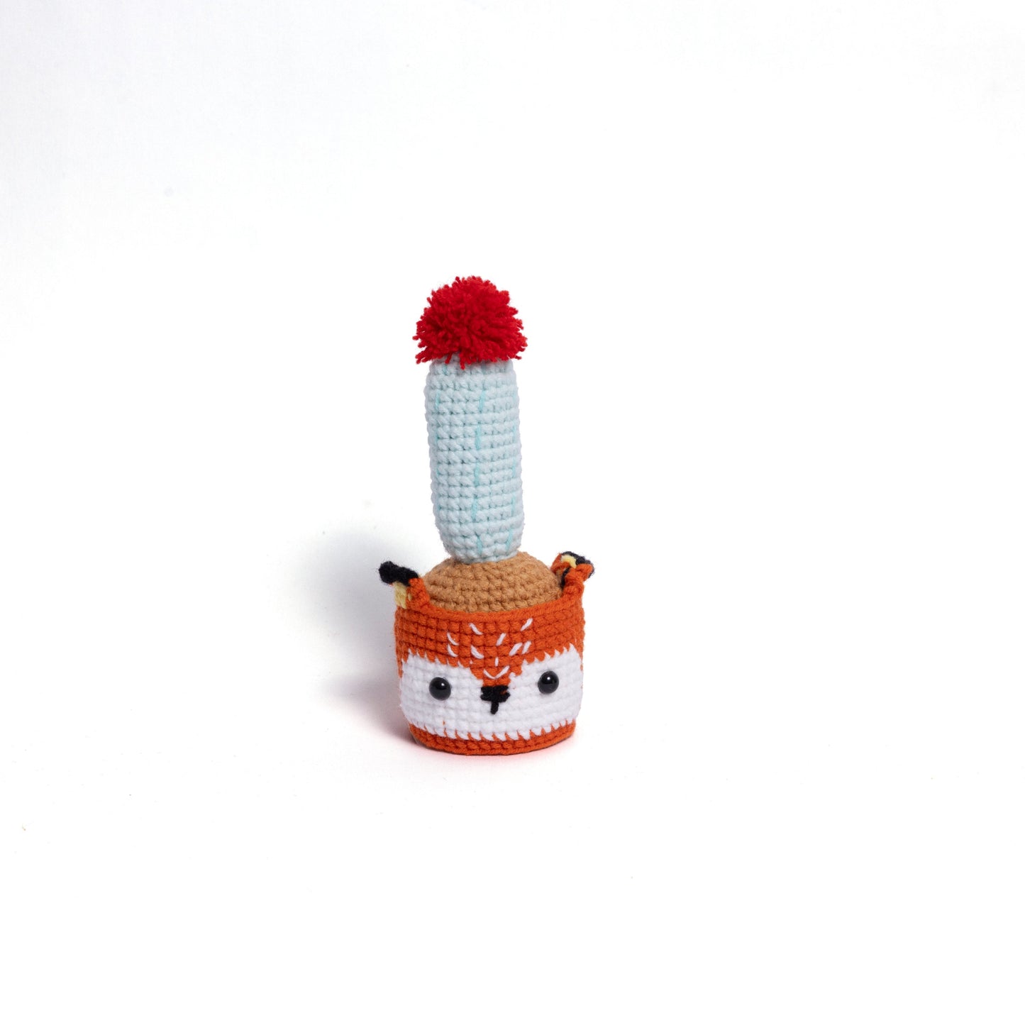 NEW members join Cactus Family!