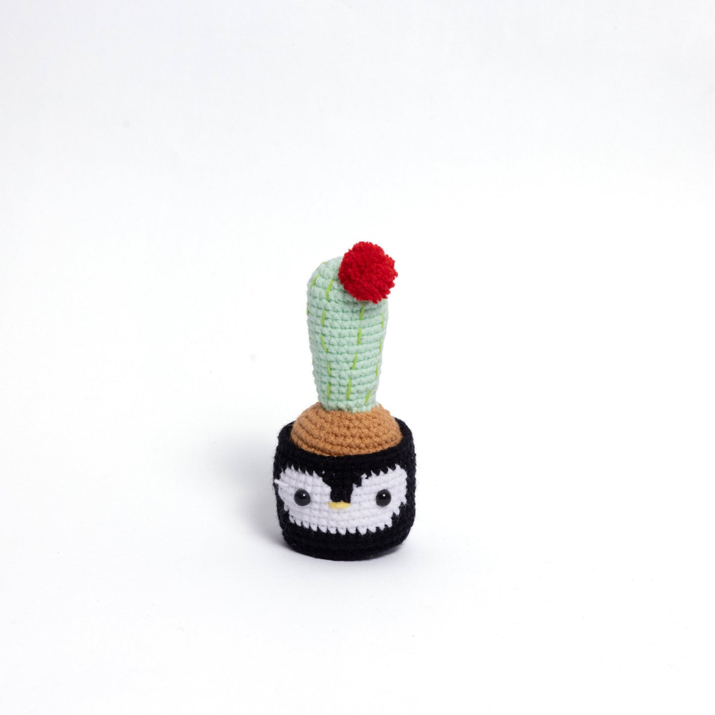 NEW members join Cactus Family!