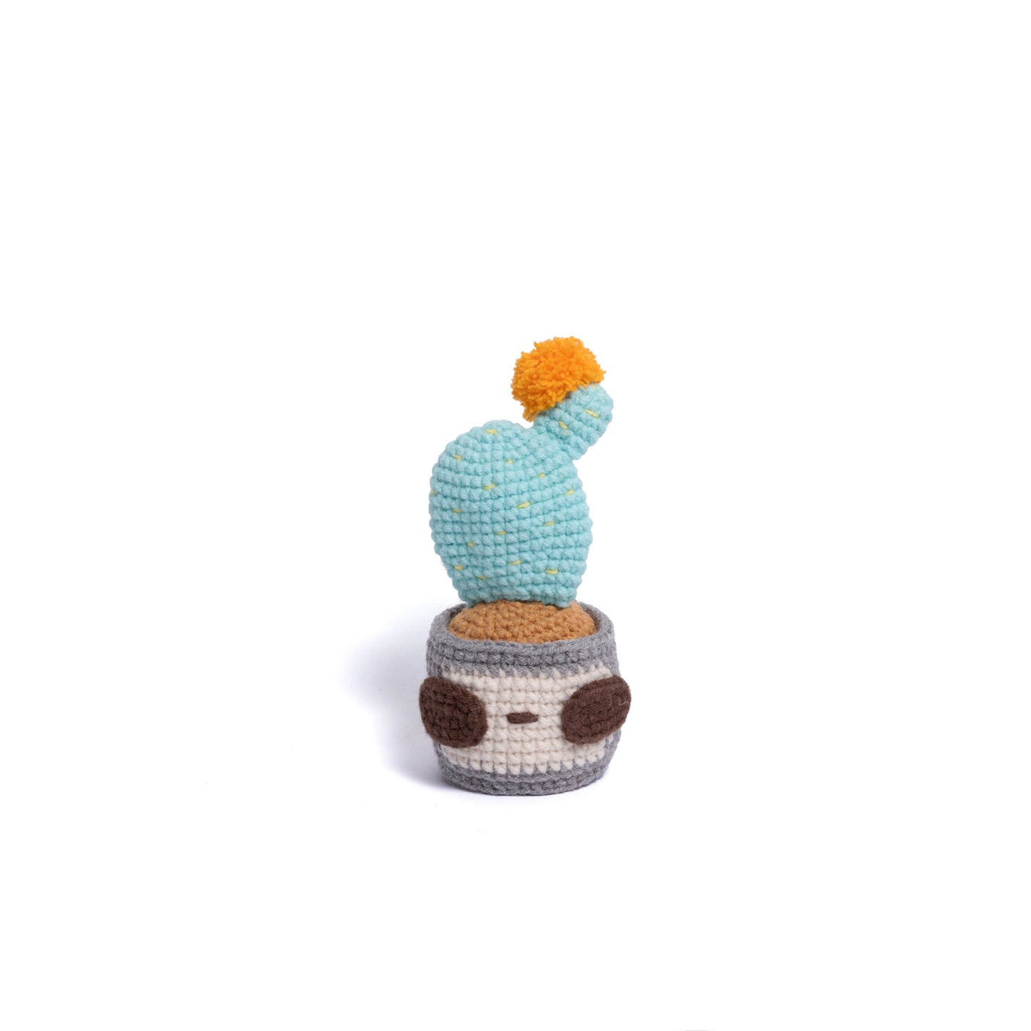 NEW members join Cactus Family!