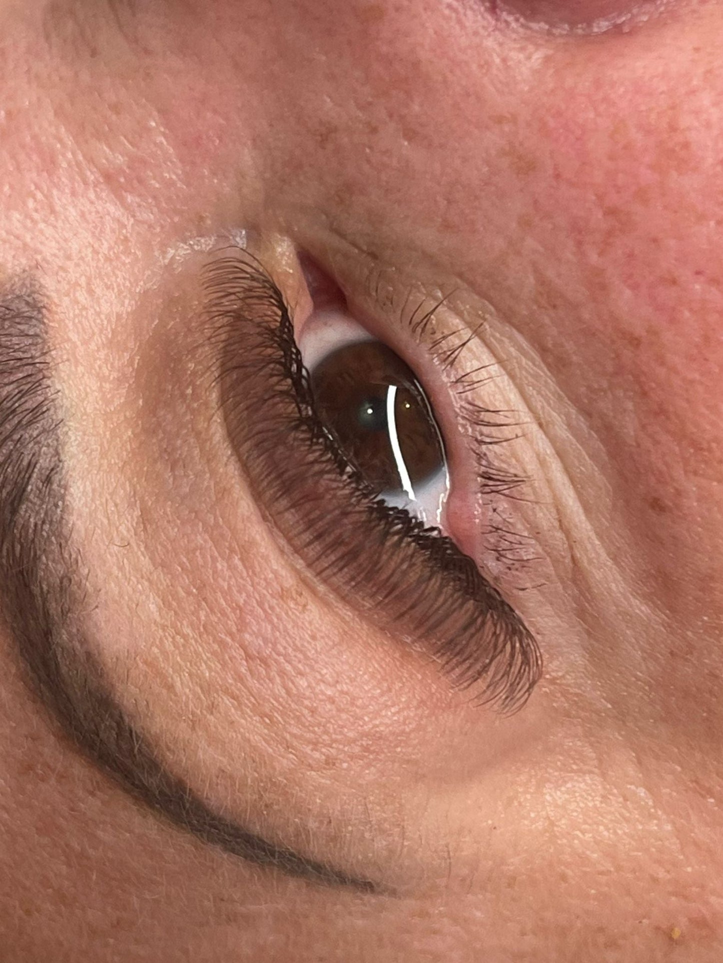 🤎 Brown 4D Clover Lashes 🤎 16 Rows • Single Length