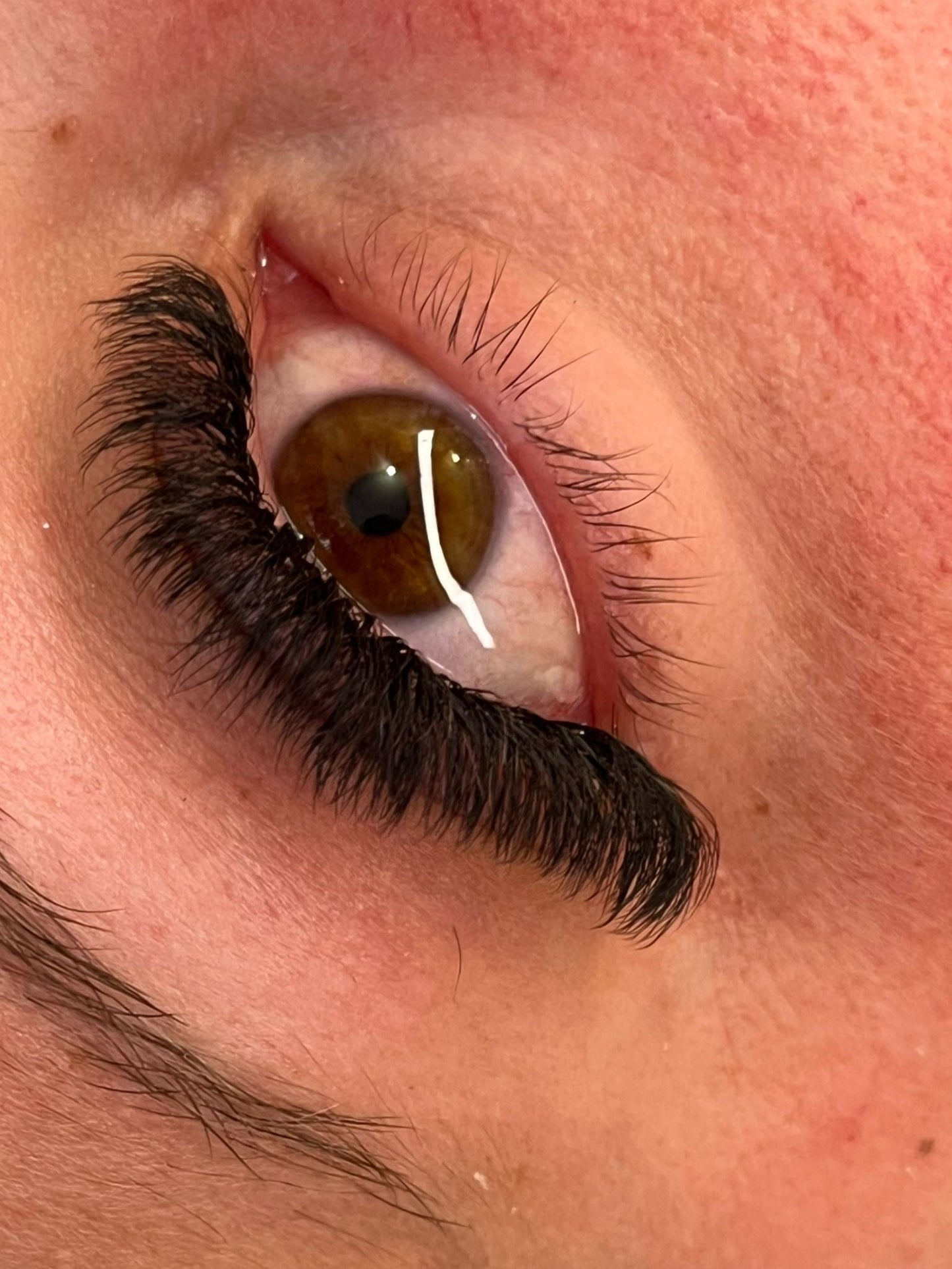 8D Clover Lashes