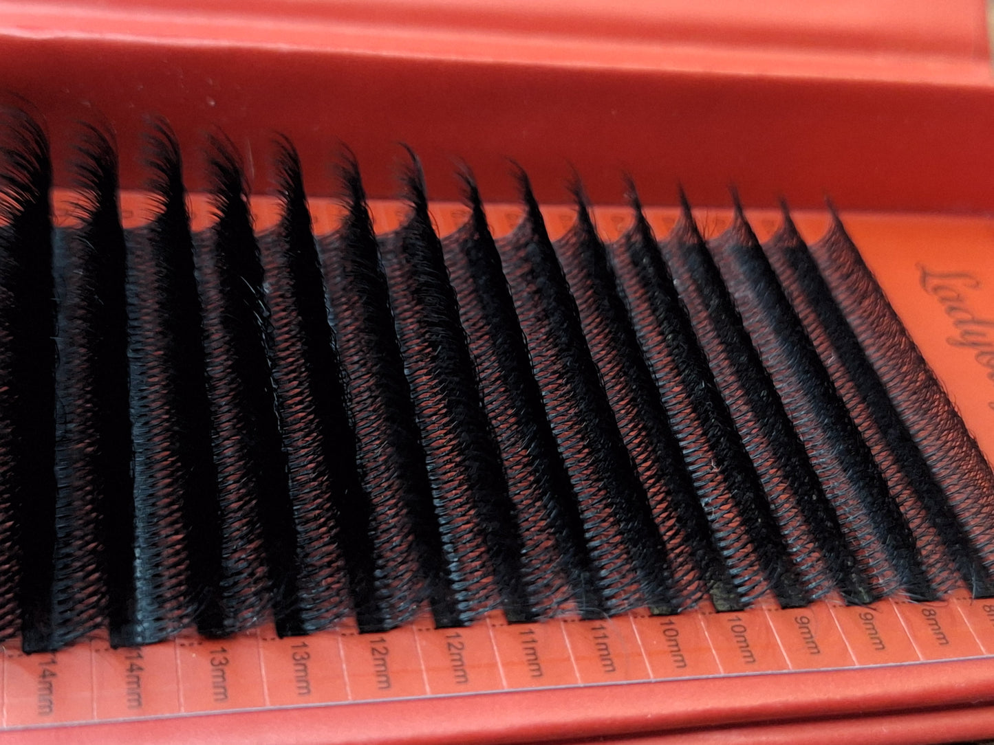 10D Clover Lashes Single Length