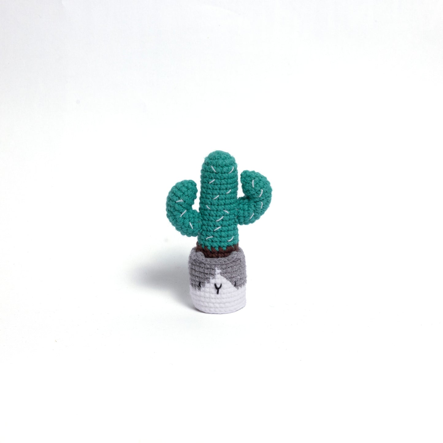 NEW members join Cactus Family!