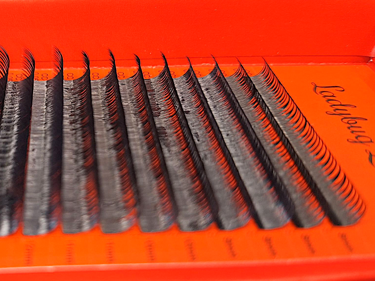 Wet Look Lash Tray – Mixed Lengths, 16 Rows