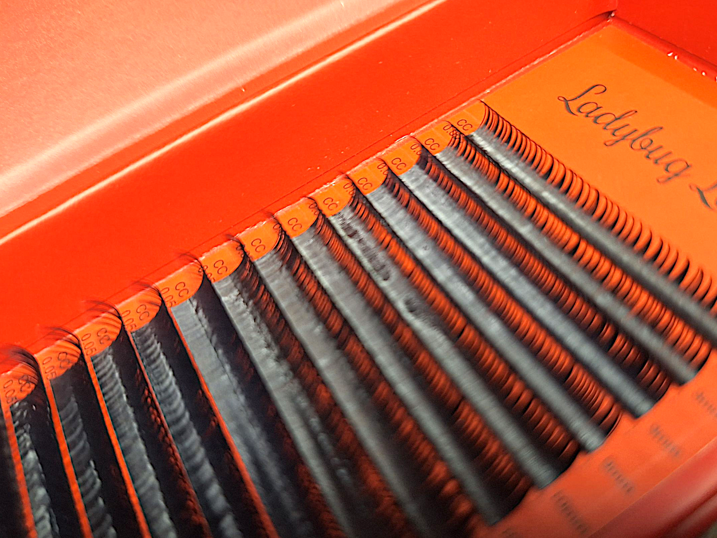 Wet Look Lash Tray – Mixed Lengths, 16 Rows