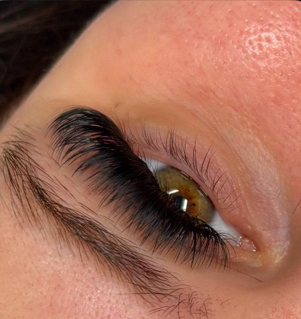 Platinum Velvet Volume Lashes – Mixed Tray (16 Rows)