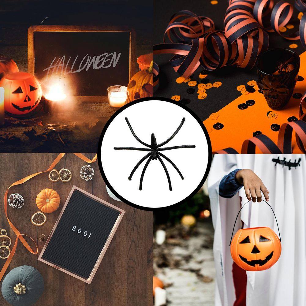 24 Pack Spooky Black Plastic Spiders Halloween Party Prop Decoration