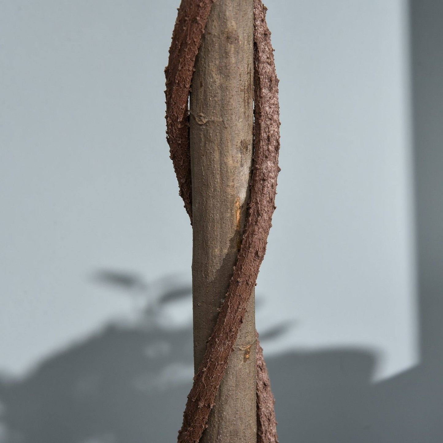 Set of 2 Artificial Topiary Bay Laurel Ball Trees in Pot Indoor Outdoor